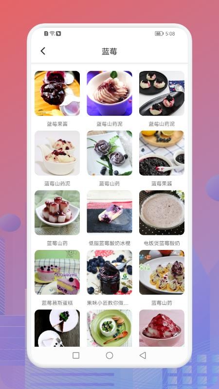 小卖部的蓝莓酱食谱软件v1.1(3)