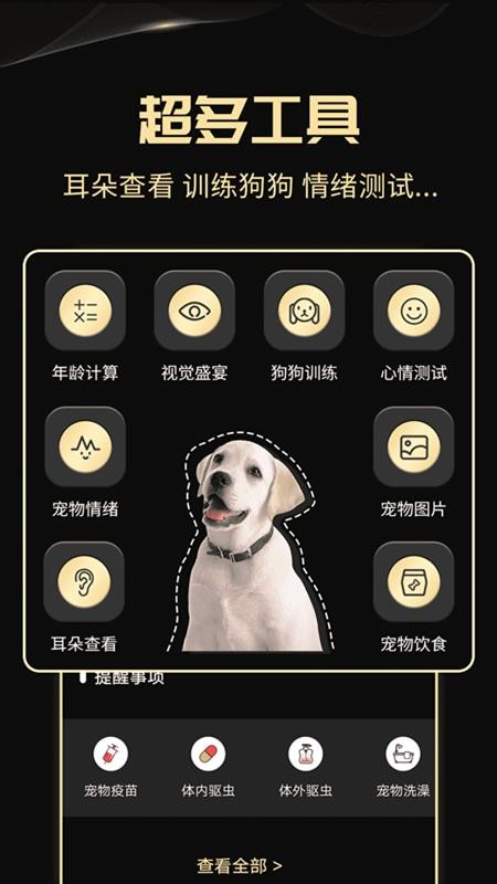 人狗互动工具appv2.6.9(2)