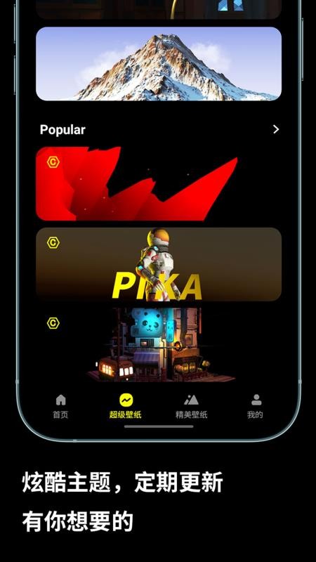 皮卡超级壁纸app(5)