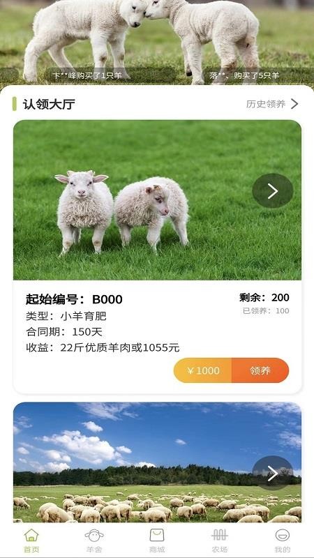 养羊得益appv2.0.3(5)