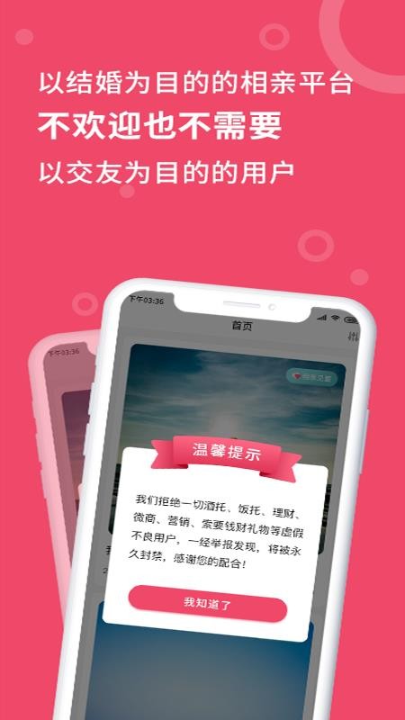 艺桥相亲app(1)