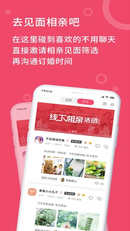 艺桥相亲app(2)
