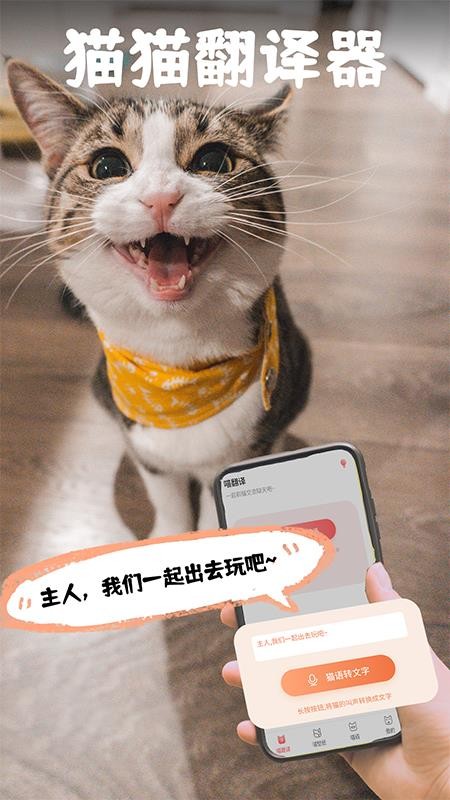 猫翻译手机版v3.0.1(1)