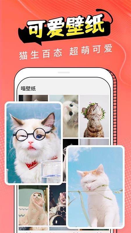 猫翻译手机版v3.0.1(3)