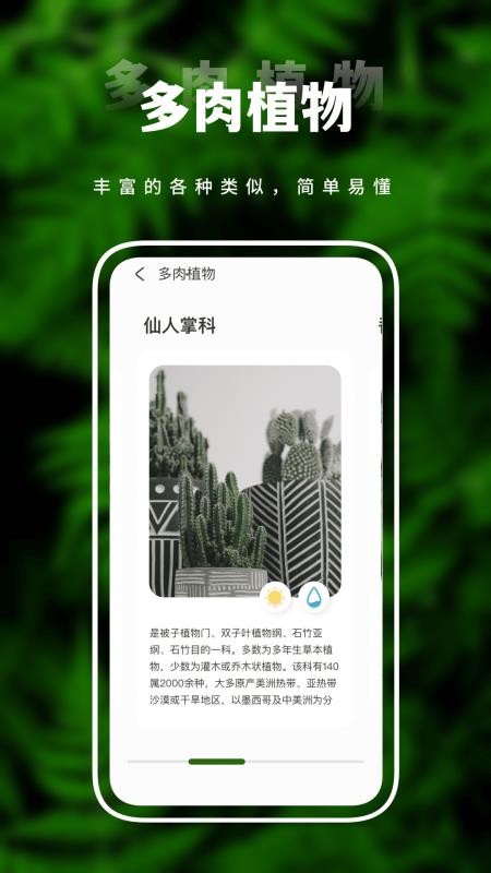 羞草App(4)