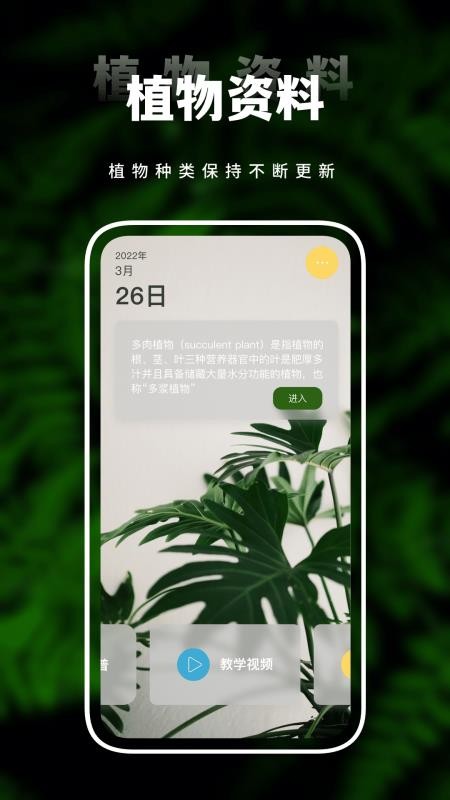 羞草App(3)