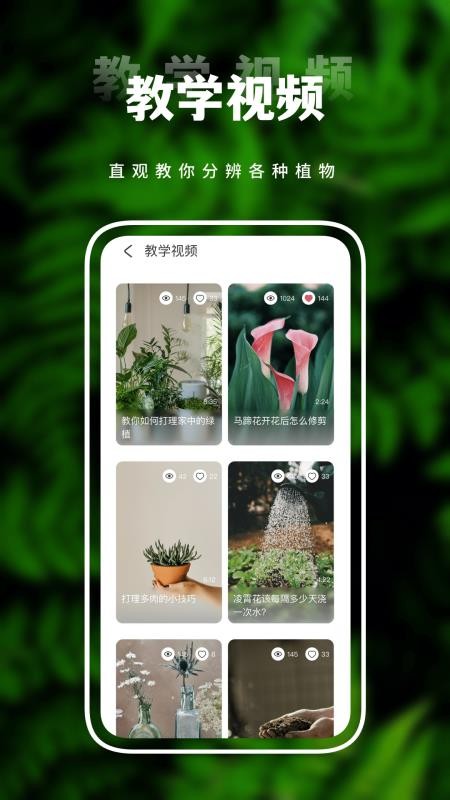 羞草App(2)