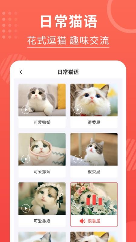 猫猫翻译器软件手机版(3)