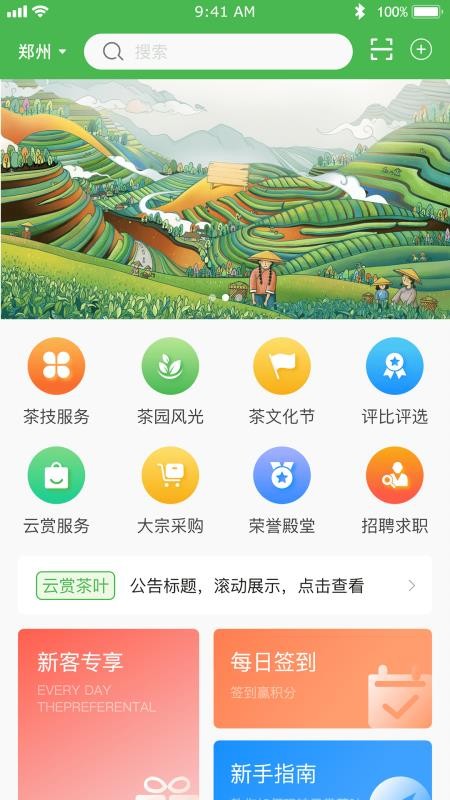 云赏信阳毛尖(3)