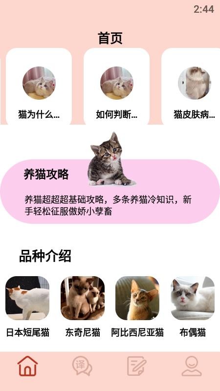 摸摸小猫app(2)