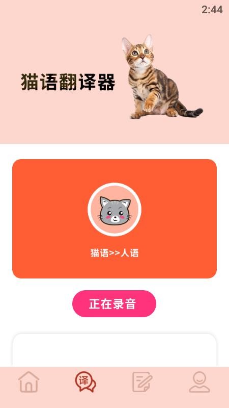 摸摸小猫app(1)