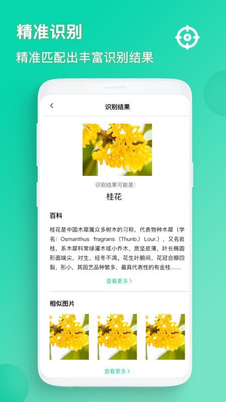 识图APP(1)