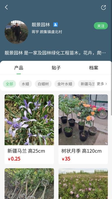 苗青青appv2.0.12(3)