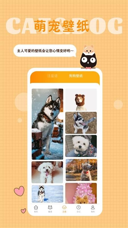 猫语狗语转换器appv1.9.4(4)