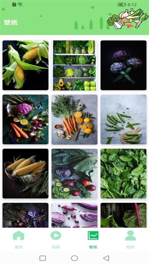 有机蔬菜市场app(1)
