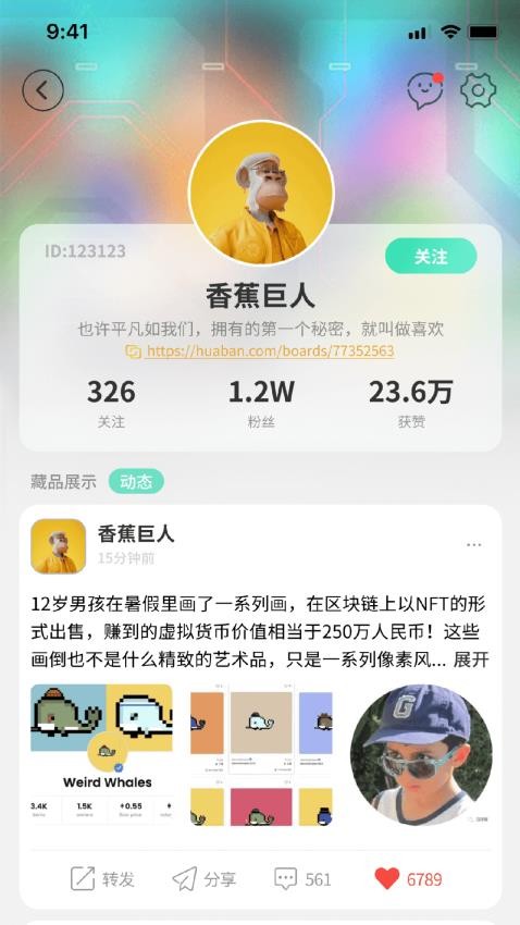 波荷app(3)