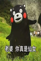 熊本熊表情下载|美好的一天从爱老婆开始表吃药的表情包图片