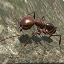 蚂蚁模拟3d中文版