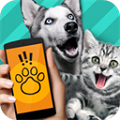 动物语言翻译器app v1.1安卓版