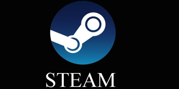 steam版本大全2024