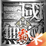 真三國(guó)無雙霸最新版 v1.3.2