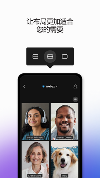 Webex meet视频会议(2)