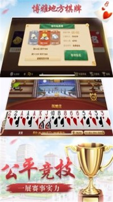 博雅地方棋牌麻將(1)