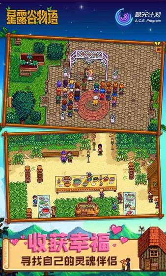 stardew valley手游(2)