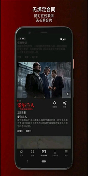 netflix app(1)