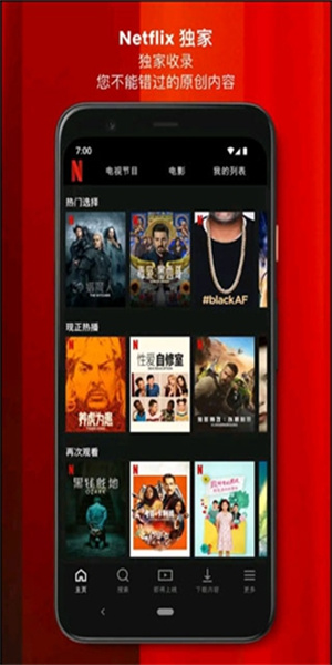 netflix app(4)