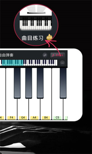 模拟钢琴app(1)