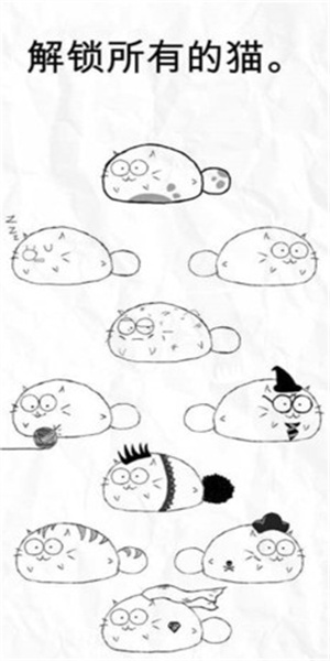 fatty cat(4)