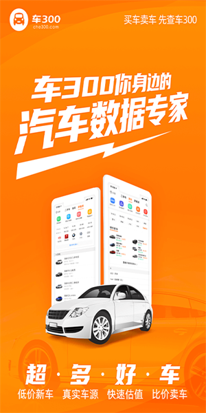 車300二手車app(3)