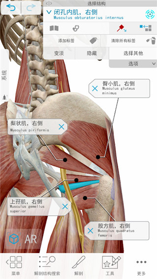 人體解剖學(xué)圖譜app(3)