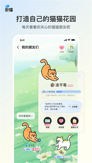 哈啰街猫app(2)