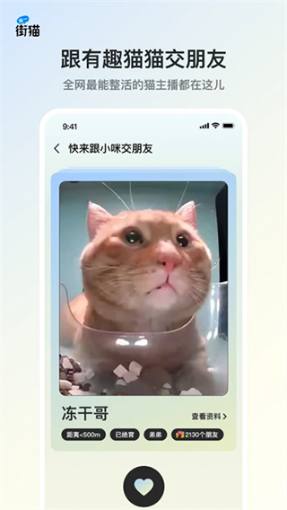 哈啰街猫app(3)