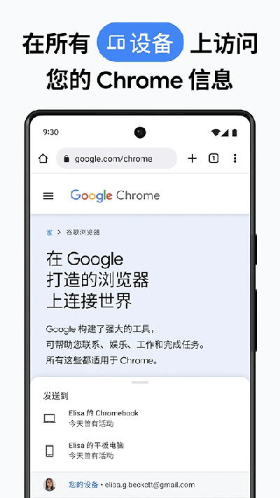 chrome canary最新版(3)