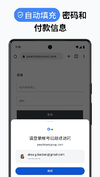 chrome canary最新版(4)