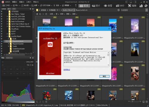 acdsee pro简体中文版(1)