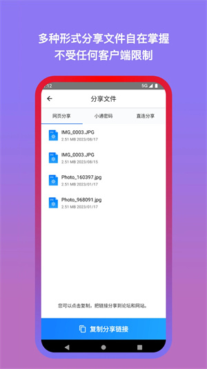 城通网盘app(1)