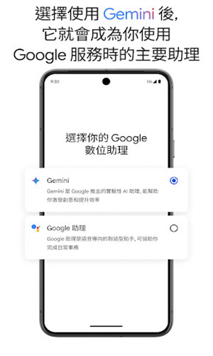 Google Gemini官网版(2)