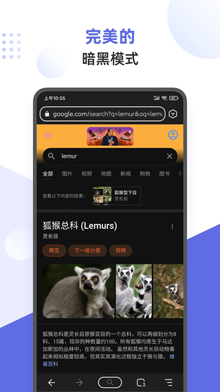 狐猴浏览器APP(3)