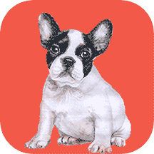 狗狗助手最新版 v1.0.9安卓版