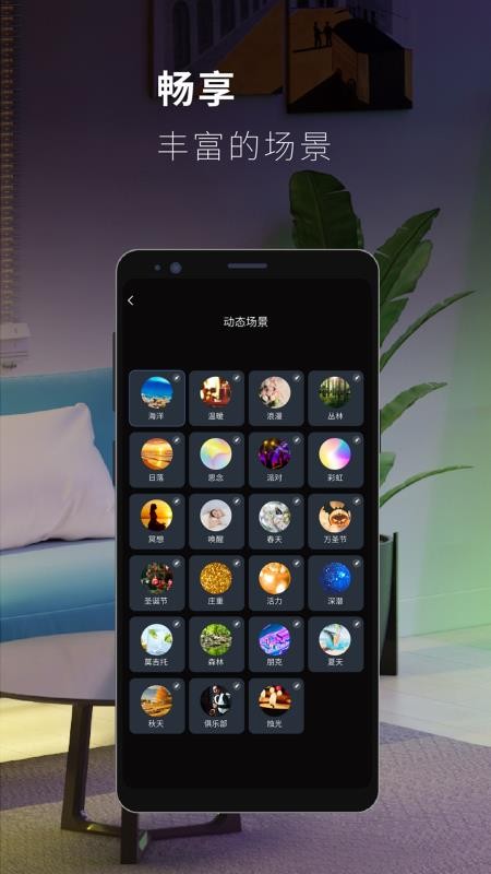 思碼光app(4)