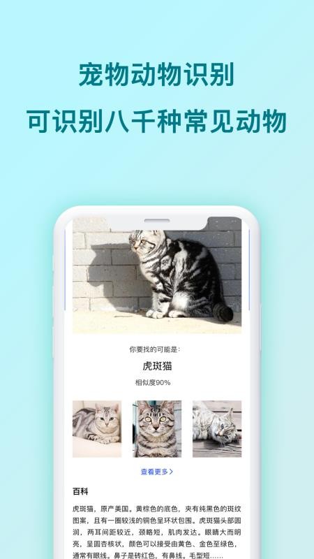 动物识别最新版(1)