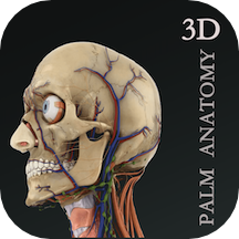 掌上3D解剖中文版 v2.6.3安卓版