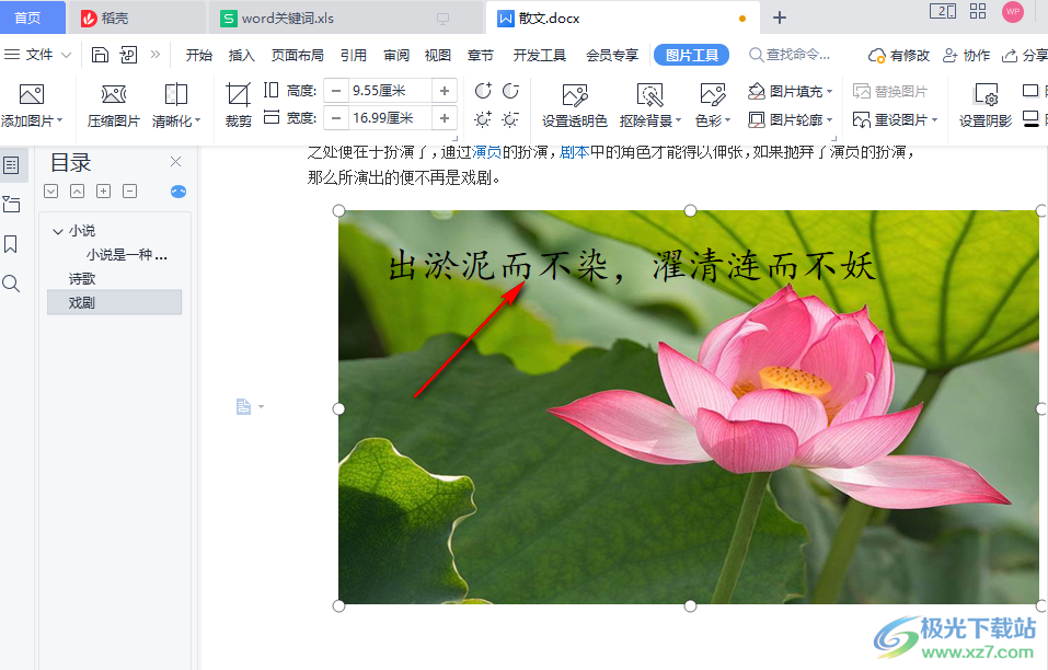 Wps Word文档怎么在图片上添加文字 Wps Word文档在图片上添加文字的方法 极光下载站