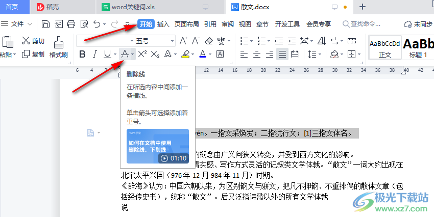 WPS Word文档添加删除线的方法