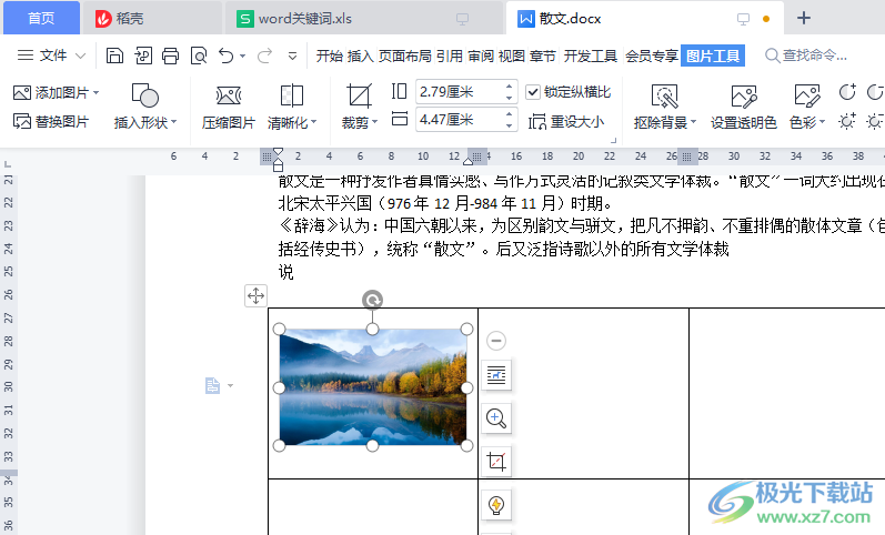 WPS Word表格插入图片排版不变的方法