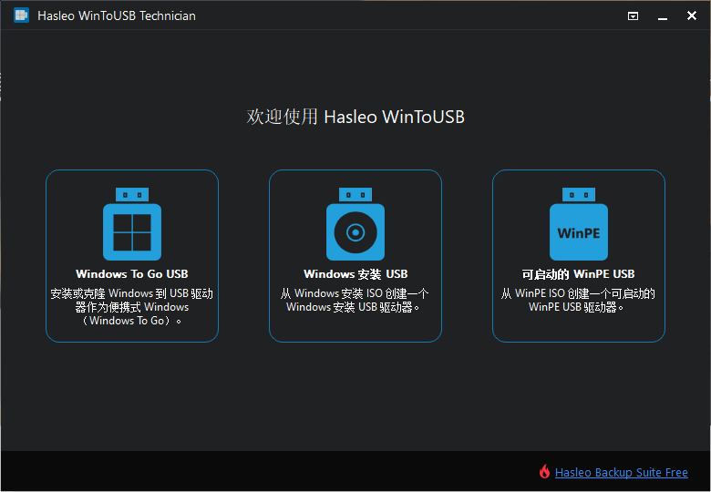 Hasleo WinToUSB Technician Portable中文注册激活版(1)